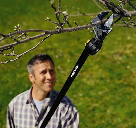 5 Best Tree Pruners for 2024 (Reviews and Buying Guide)