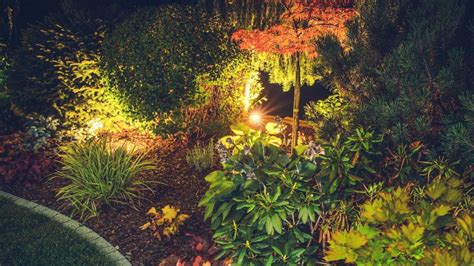 LED Lights In Gardens | Serenity Outdoor Lighting