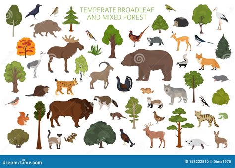 Terrestrial Ecosystem Animals