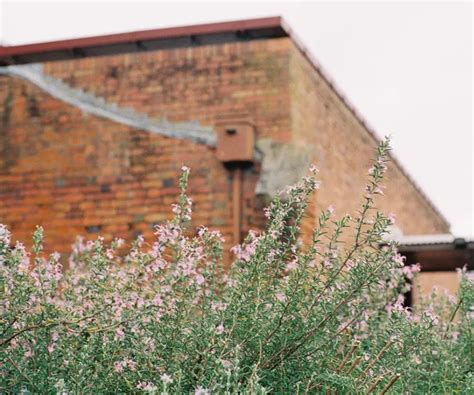 History | Yering Station, Yarra Valley