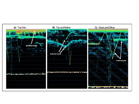 Examples of acoustic scattering at the pycnocline. Segments of 2007... | Download Scientific Diagram