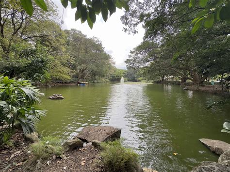 Medellín Botanical Garden: An Oasis of Green in a Bustling City