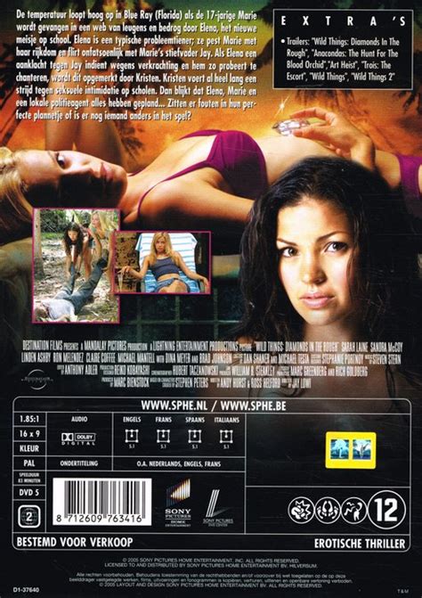 Wild Things 3 - DVD - Catawiki