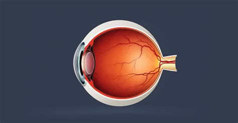 Retinal Diseases - SRS Eye Hospital