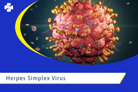 Fakta Singkat Herpes Simplex Virus | Klinik Utama Sentosa
