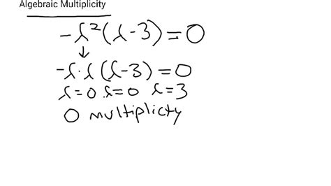 What Is Algebraic Multiplicity