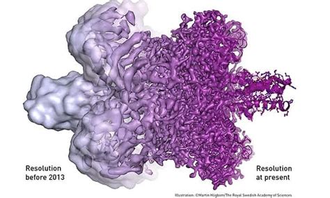 Cryo-EM Single Particle Analysis | Quantum Detectors