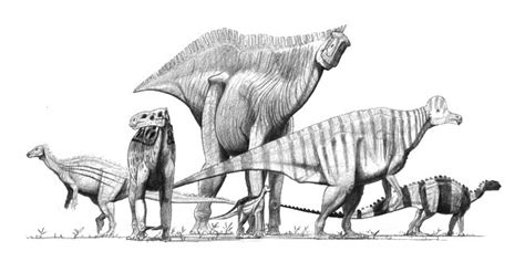 Mesozoic Archives: Ornithopod Biodiversity and Evolution