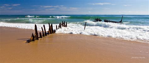 Surfing at Dicky Beach | A photo of the SS Dicky taken a yea… | Flickr