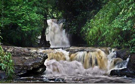 Manjehalli Waterfalls | Sakleshpur | Timings | Images | Holidify