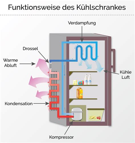 Wie funktioniert ein Kühlschrank? - Kuechen-meister.de