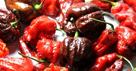 Carolina Reaper Pepper Eating Contest: NYC Hot Sauce Expo Brings the Heat - Thrillist