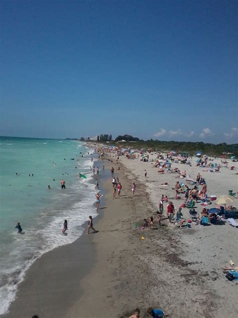 My view from Sharky's Pier, Venice Beach, FL. | Venice florida, Gulf coast florida, Venice city