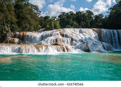 1,629 Agua Azul Waterfalls Images, Stock Photos, 3D objects, & Vectors | Shutterstock