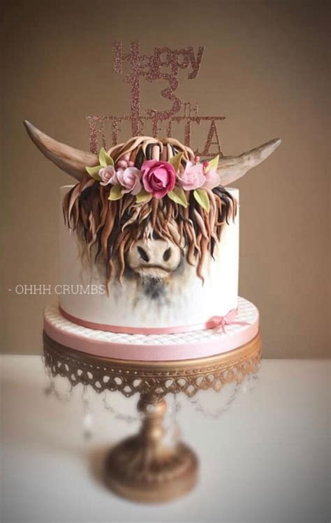 Gorgeous Highland Cow by Charlene Meier | Cow birthday cake, Cow cakes, Cow cupcakes