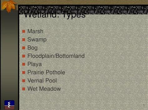 PPT - Wetland: Types PowerPoint Presentation, free download - ID:663344