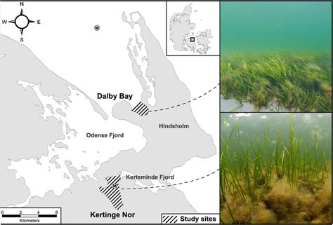 Map and photos of the study areas on Funen Island, Denmark. Hatched ...