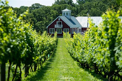 Featured Wineries | Virginia Wine Love