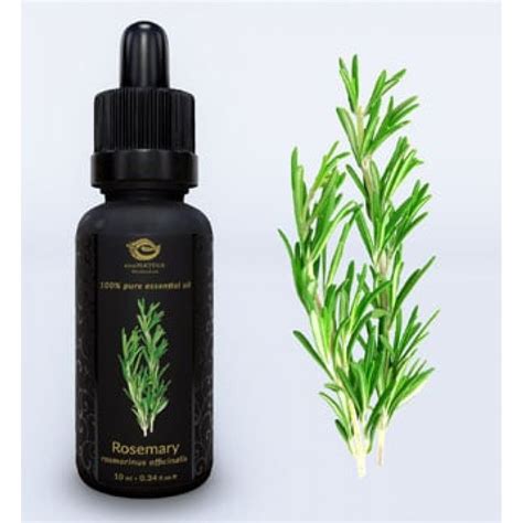 Rosemary Essential Oil