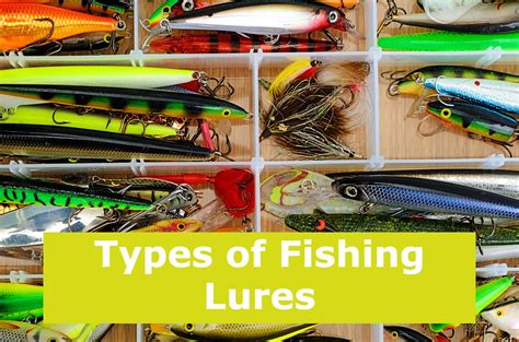 Types of Fishing Lures