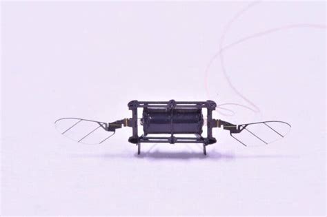 The swarm is near: get ready for the flying microbots