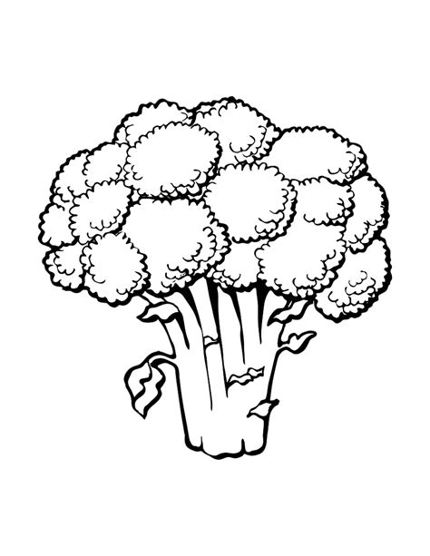 broccoli coloring page Coloring broccoli pages popular - Mejikuhibiniu ...