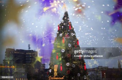 The Biggest Christmas Tree In The World Photos and Premium High Res ...