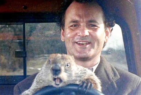 Bill Murray talks about 'Groundhog Day' and the pandemic