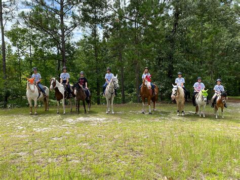 Discover the Joy of Horse Camps | Horse Summer Camps - Pony Gang