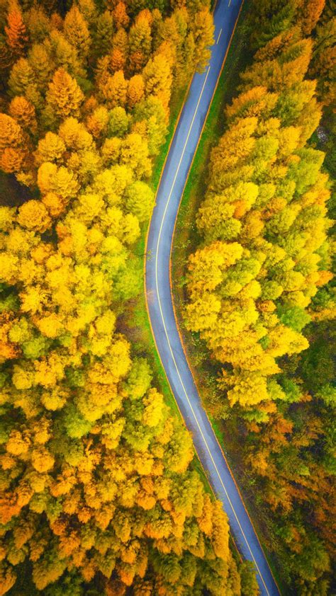 竖屏 4k手机 高清 秋天 风景 公路 鸟瞰 壁纸 图片_图片编号333654-壁纸网