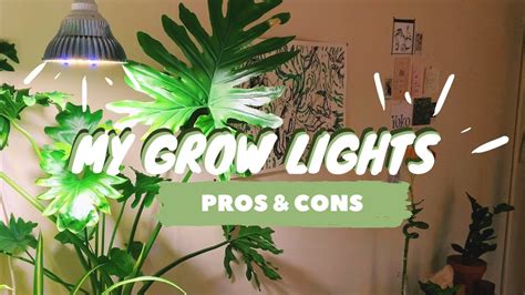 MY GROW LIGHT SETUP | grow lights for houseplants | pros & cons - YouTube