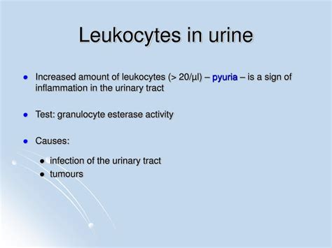 analyse d urine leucocytes – leucocytes urinaires élèves sans infection – Lifecoach