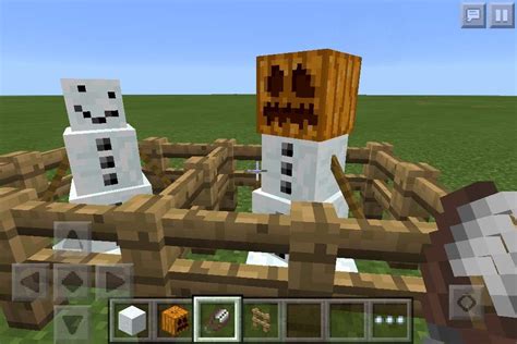 5 Things You Didnt know about the Snow Golem | Minecraft Amino