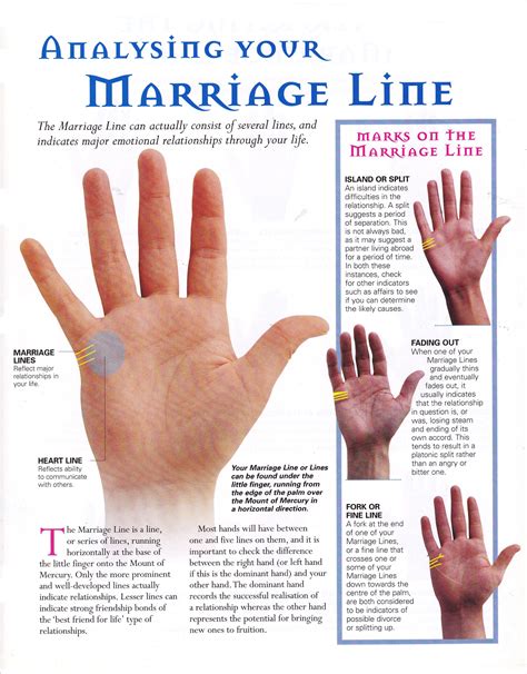 Reading your marriage line | Palm reading, Palmistry, Palmistry reading