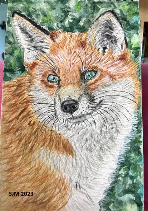 Fox painting in watercolor by tulipteardrops on DeviantArt