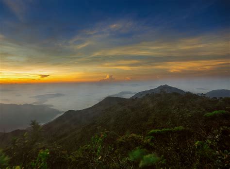 A Guide to Climbing Mount Tahan, Malaysia