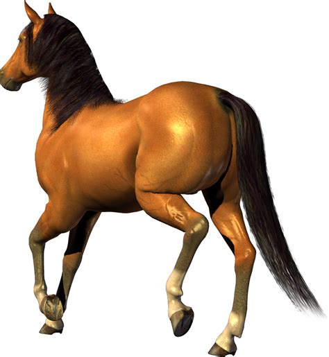 horse png image, free download picture, transparent background