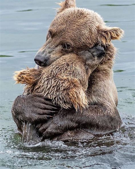 Pictures Worth More Than 1000 Words (20 images) in 2021 | Wildlife ...