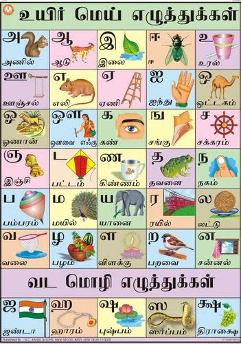 Full Color Laminated Paper Tamil Alphabet Chart, Size: 70X100 at Rs 140/piece in New Delhi