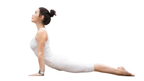 3 Steps to Upward Facing Dog Pose - YogaUOnline