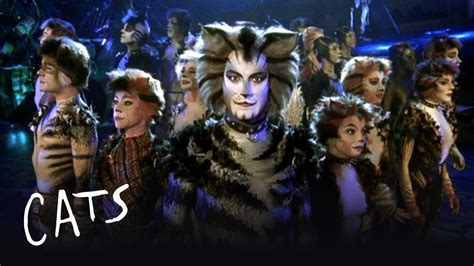 The Trailer for CATS - Released in 1998! | Cats the Musical - YouTube