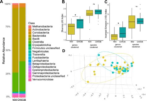 Microbiota diversity. (A) Class relative abundance of the 45 samples ...