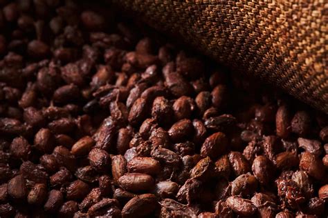 Cocoa beans | Sustainable Moisture Damage Prevention Solutions