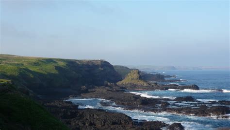 Phillip Island Nature Parks, Australia Photos