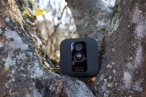 Blink's newest security camera can be hidden in a tree - The Verge