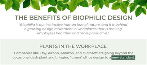 Benefits of Plants - Greenery Office Interiors