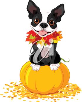 thanksgiving dog clipart 10 free Cliparts | Download images on Clipground 2024