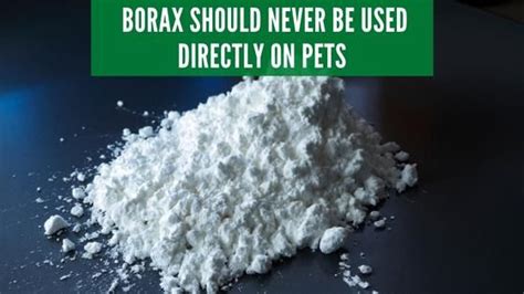 Diatomaceous Earth vs Borax For Fleas: Which is Better?