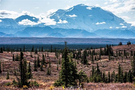 Denali Hiking Adventures: Our Personal Picks for the Best Trails