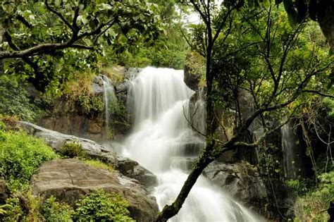 Nature Resorts in Wayanad Kerala – Banasura Hill Resort